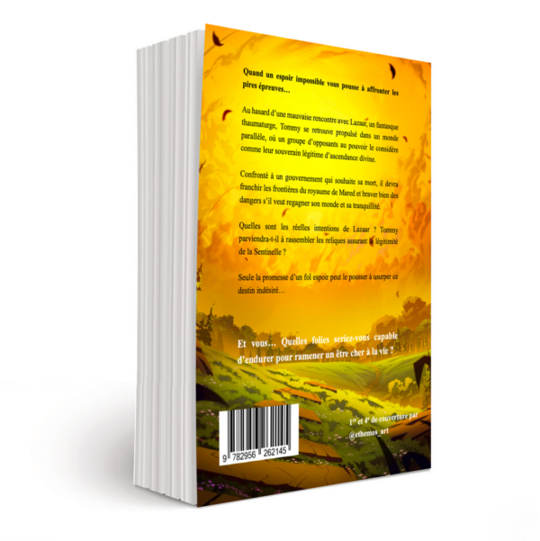 La Sentinelle de Mared – Image 2